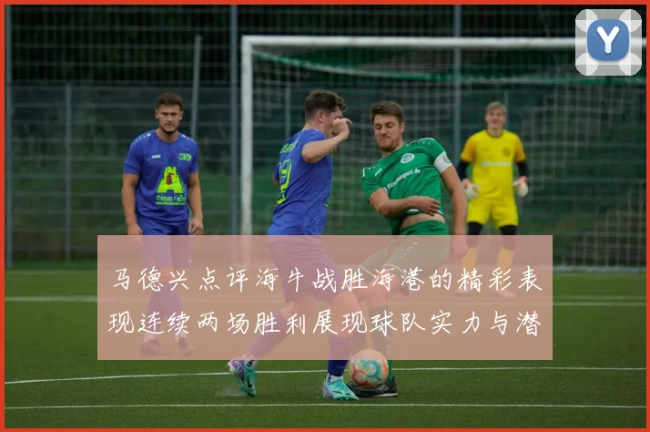 马德兴点评海牛战胜海港的精彩表现连续两场胜利展现球队实力与潜力